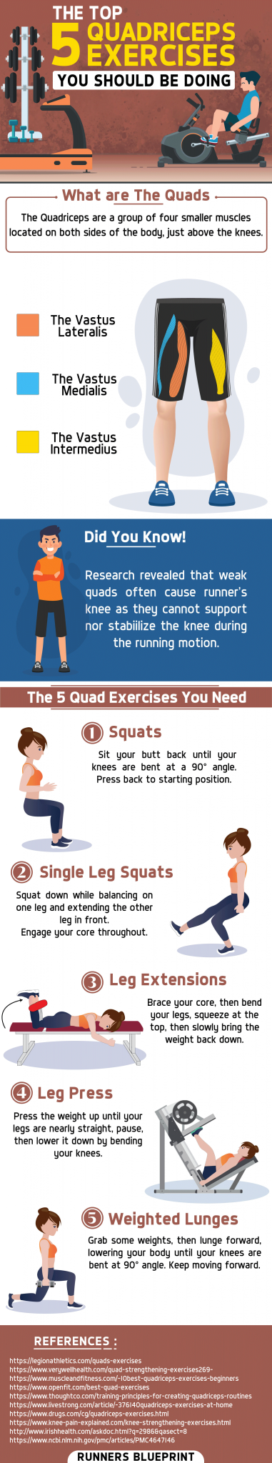 5 Must Quadriceps Exercises - The 30-Minute Quad Workout Routine You Need